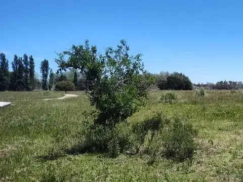 Terreno en Venta de 31039,0 m2