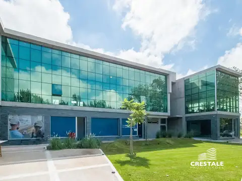 Real Office