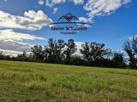 Muy lindas 6,79 has, en Altamira, con añosa arboledas.