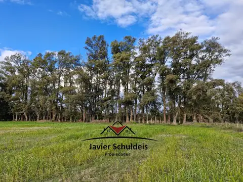 Muy lindas 6,79 has, en Altamira, con añosa arboledas.