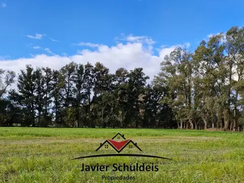 Muy lindas 6,79 has, en Altamira, con añosa arboledas.