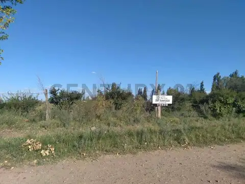 C21 Lucio Barroso Vende Terreno 1 hect. 4389m2en Coquimbo Maipú Mendoza