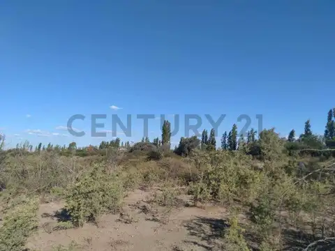 C21 Lucio Barroso Vende Terreno 1 hect. 4389m2en Coquimbo Maipú Mendoza