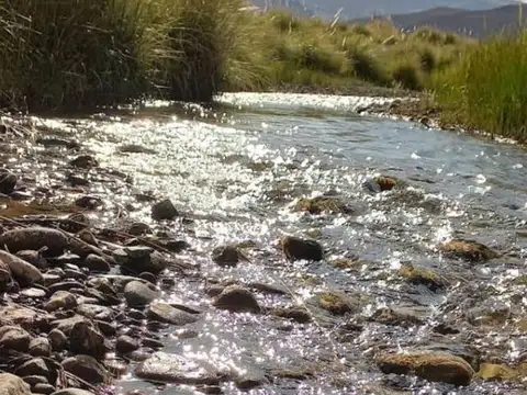 Ruta Malargüe Mendoza