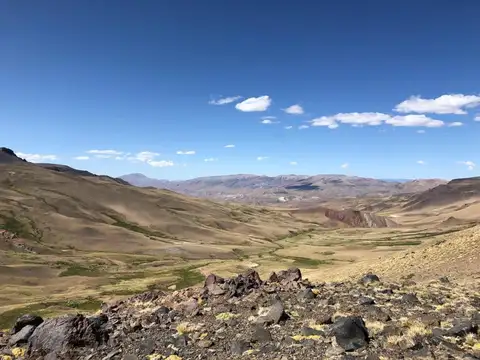 OPORTUNIDAD ESTRATÉGICA DE INVERSIÓN: 55.405 HECTÁREAS EN MENDOZA (PROYECCIÓN VACA MUERTA