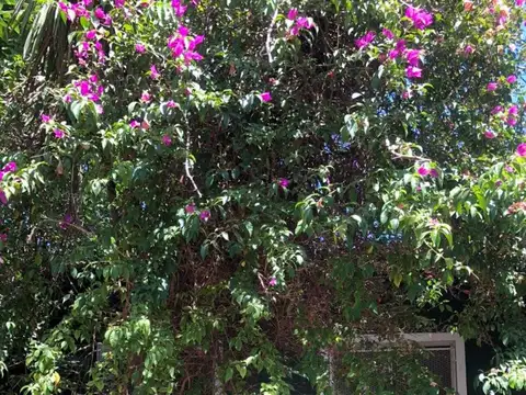 Departamento en Alquiler en Marcos Paz, $ 500.000