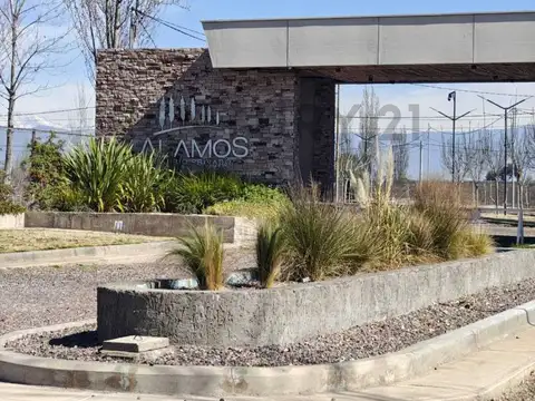 Carril Los Álamos , Piso 0