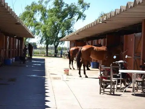 Terreno en Venta en Country Club Los Cardales, USD 95.000