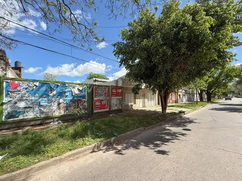 Vera Mujica 2470