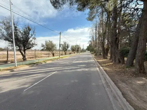 Liniers