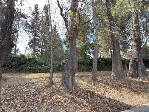 Terreno en Venta en Chacras de Coria, USD 50.000