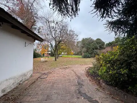 Lago Argentino 100