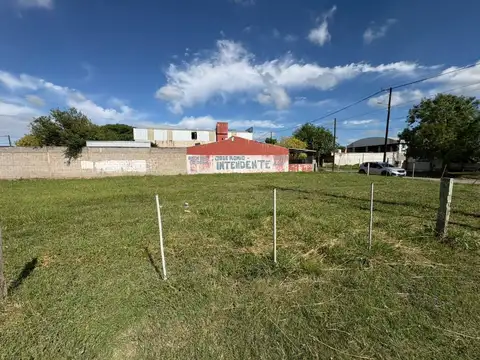 estanilao del campo