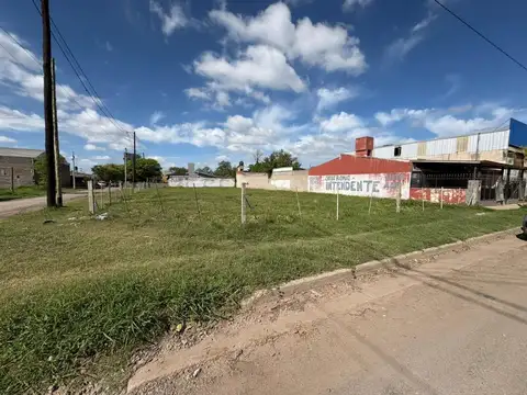 estanilao del campo
