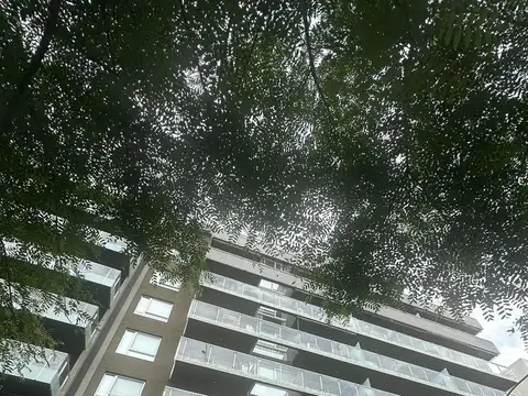 Departamento Alquiler 2 ambientes  Premiun en Colegiales