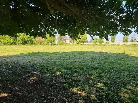 Terreno industrial 2 frente al polo industrial