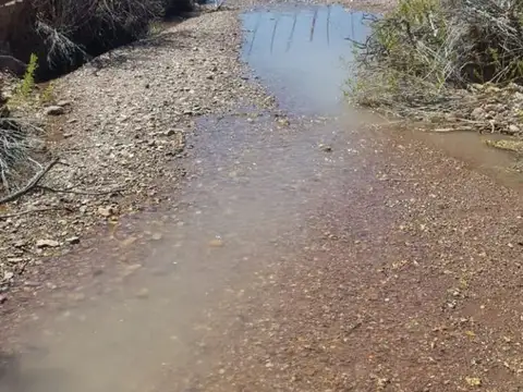 Terreno en Venta de 10000,0 m2