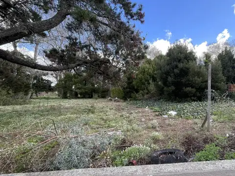 Terreno en Venta 40  mts Fondo