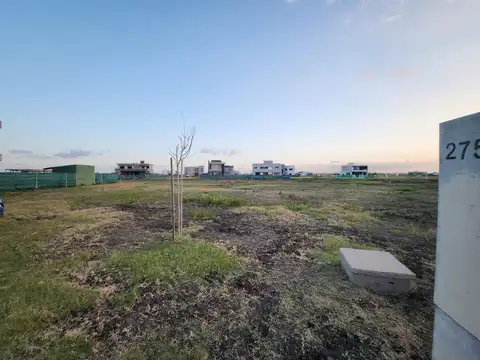 Terreno en Venta 16  mts Frente