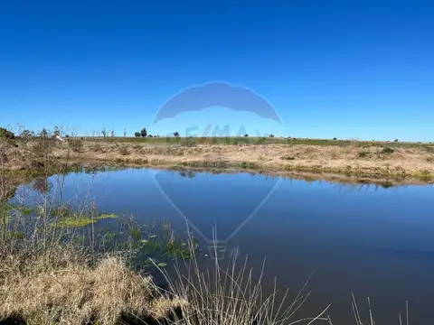 VENTA DE CHACRA EN SAN SAN JACINTO, 11 HA