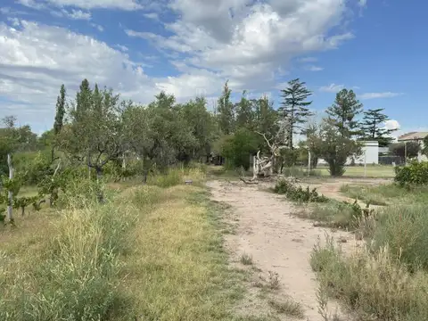 Terreno en Venta de 7156,0 m2