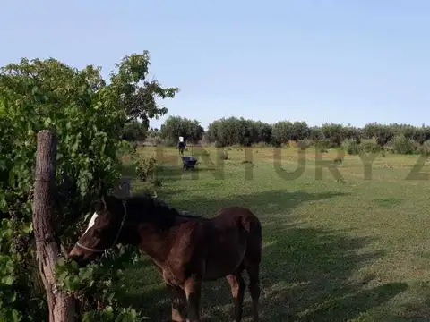 Terreno en Venta en Maipu, USD 150.000