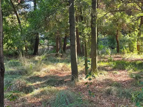 Terreno en Venta en Chascomus, USD 30.000