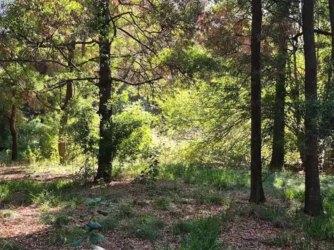 Terreno en Venta de 600,0 m2