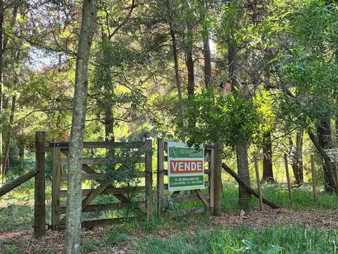 LOTE ARBOLADO DE ENSUEÑO