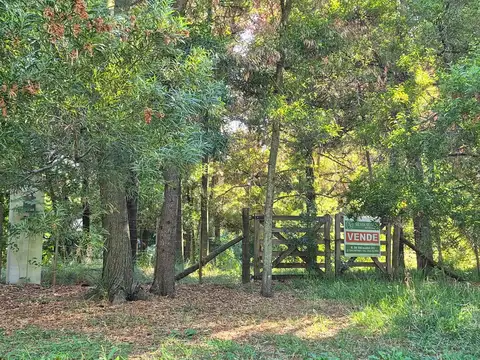 Avda Laguna Del Burro