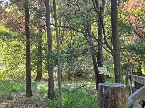 LOTE ARBOLADO DE ENSUEÑO