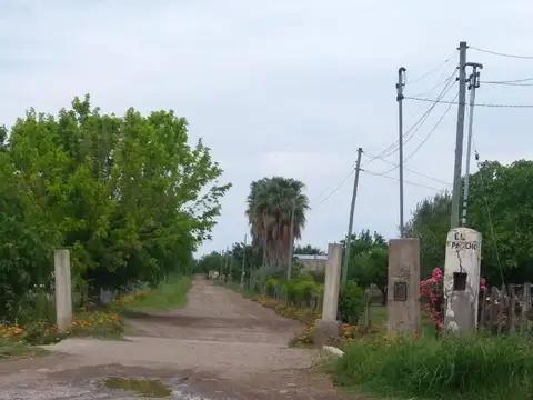 Campo en Venta en El Tropezon, San Rafael