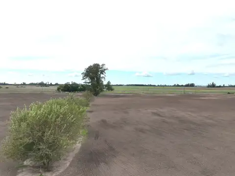 Campo en Venta de 140  ha