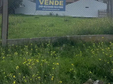 Blandengue