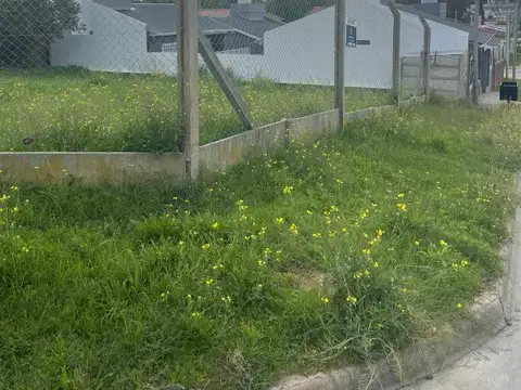 Blandengue