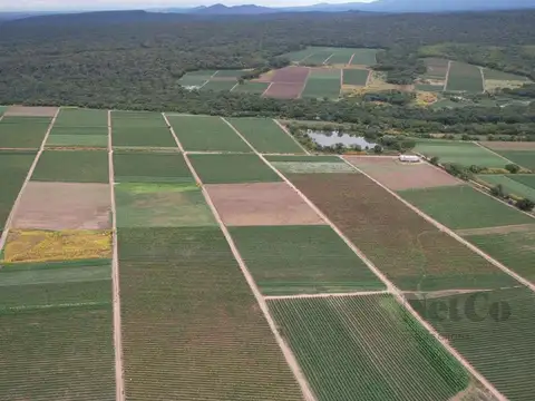Fraile Pintado, Ledesma, Jujuy 0
