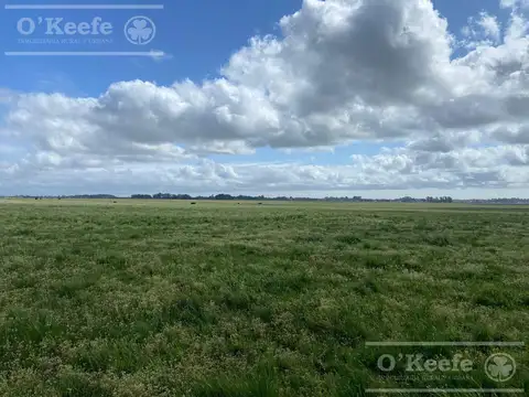 Campo en  venta 280 has Magdalena