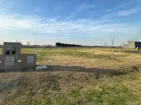 Los Pasos 3 oportunidad