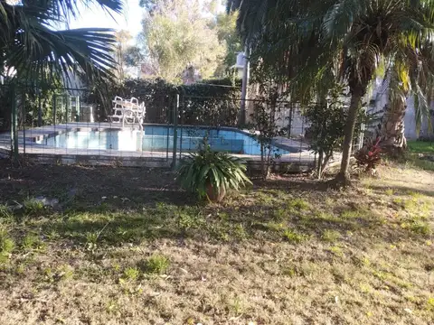 Carlos Pellegrini 100