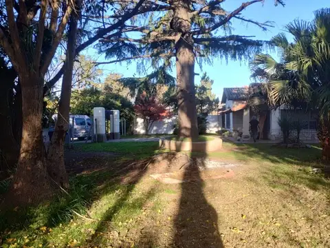 Carlos Pellegrini 100