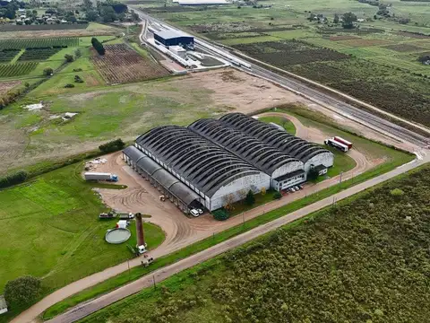 Brigadier General Fructuoso Rivera 39500