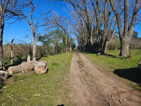 Avenida Independencia 1700