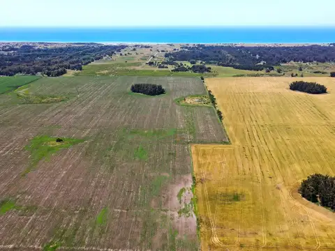 Miramar - 267 has. Agrícola