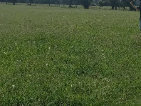 Marco Polo y Admunsen