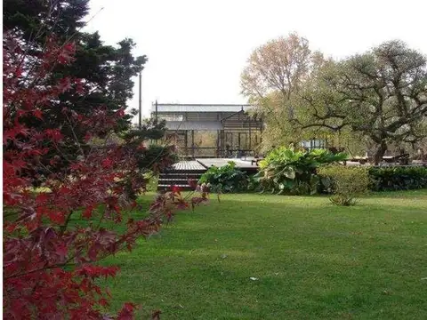 Campo en Lobos 25 has