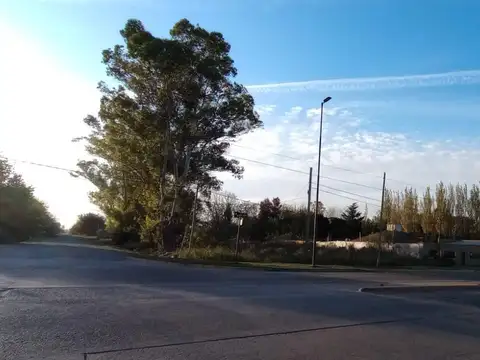 44 Y 177
