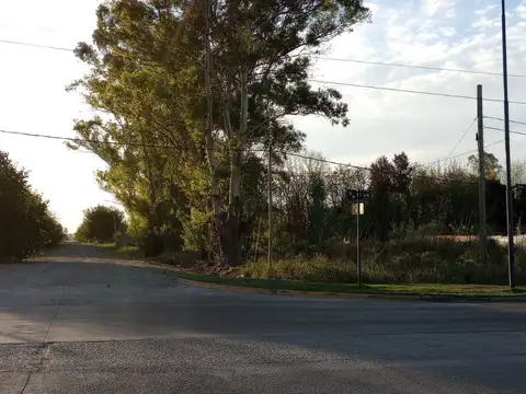 Terreno en Venta en Lisandro Olmos Etcheverry, USD 80.000