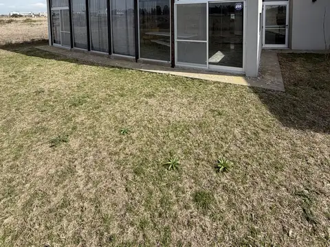 tiempos de 100