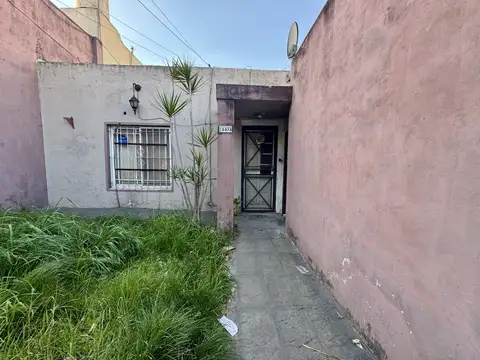 Parodi 5300