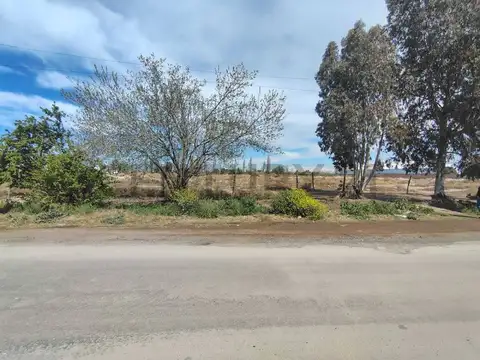Campo en Venta en Coquimbo, Maipú